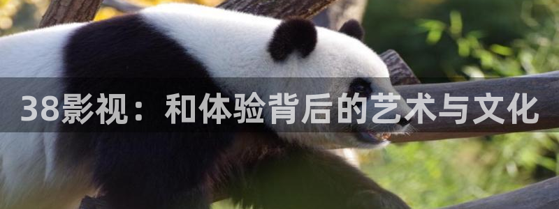 九九视频这里只有精品：38影视：和体验背后的艺术与文化