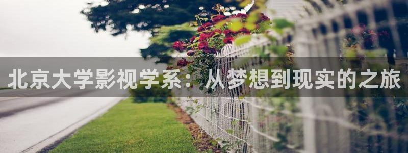 九九影视在线免费观看电视剧：北京大学影视学系：从梦想到现实的之旅