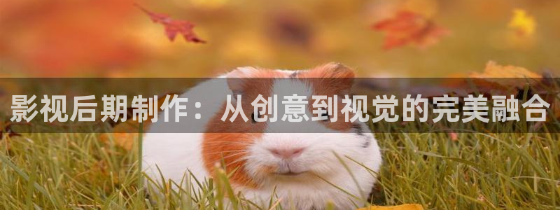 在线九九在线视频：影视后期制作：从创意到视觉的完美融合