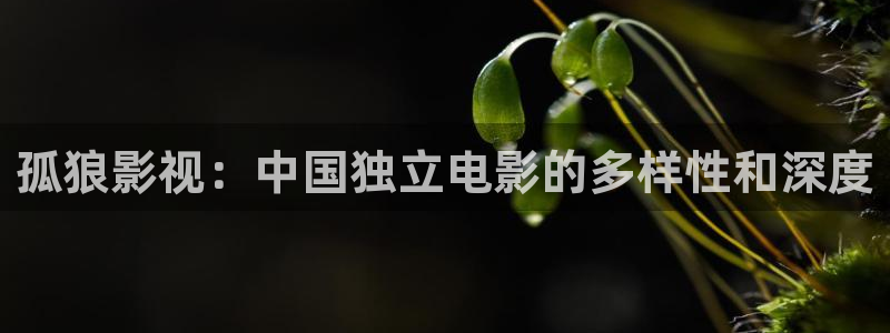 九九在线观看精品国产