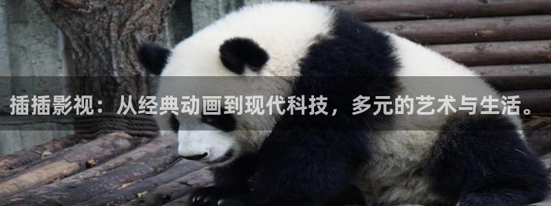 九九视频在线免费观看：插插影视：从经典动画到现代科技，多元的艺术与生活。